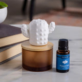 Airome Cactus Porcelain Essential Oil Diffuser