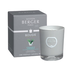 Maison Berger Scented Candles
