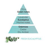 Lampe Berger Fresh Eucalyptus Fragrance Oil 1 Liter