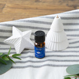 Airome Tinsel & Twinkle Porcelain Ornament Diffuser Gift Set