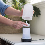 Airome Frosted Glass Essential Oil Diffuser