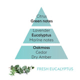 Maison Berger Fresh Eucalyptus Diffuser Fragrance Refill 200 ml